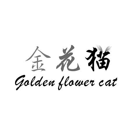 金花猫 GOLDEN FLOWER CAT