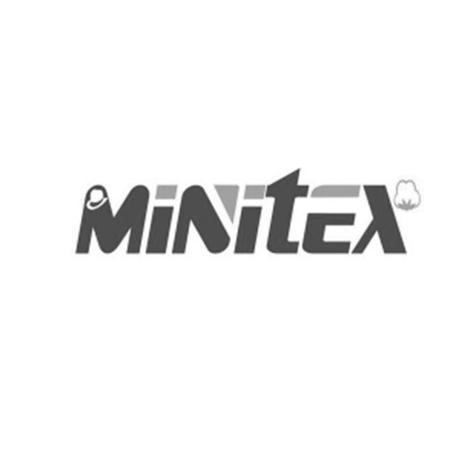 MINITEX