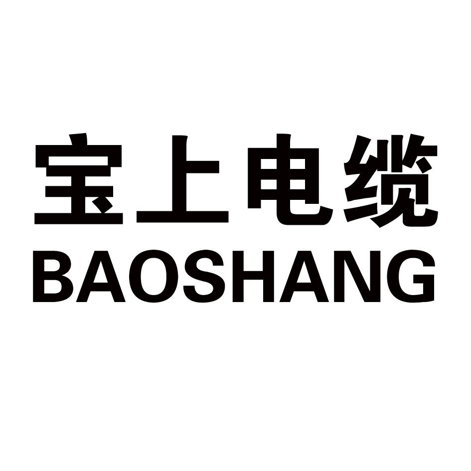 宝上电缆 baoshang