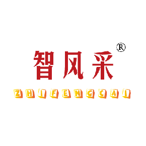 智风采