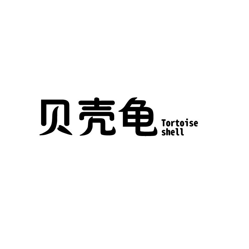 贝壳龟 TORTOISE SHELL