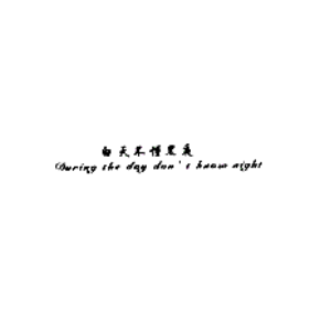 白天不懂黑夜 DURING THE DAY DON'T KNOW NIGHT