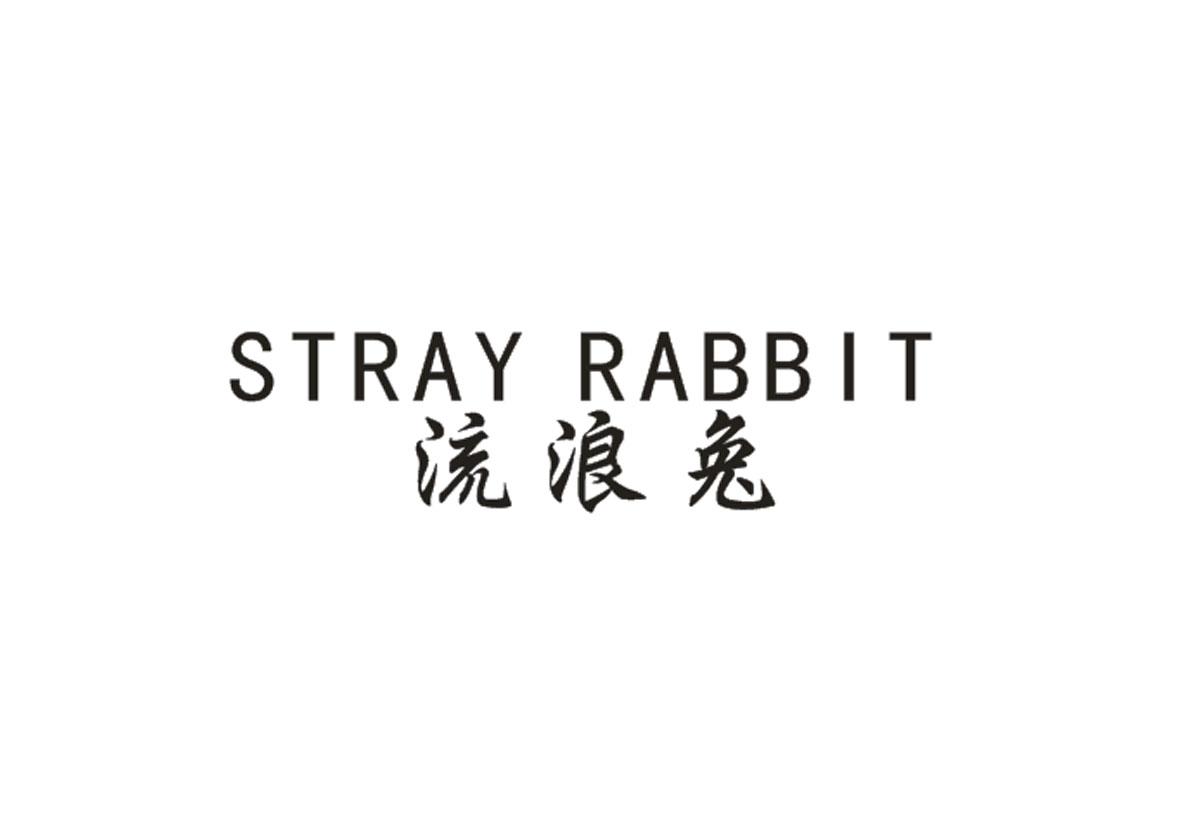 流浪兔 STRAY RABBIT