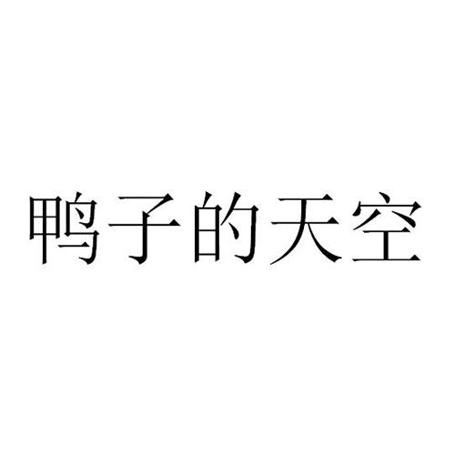 鸭子的天空