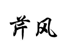 芹风