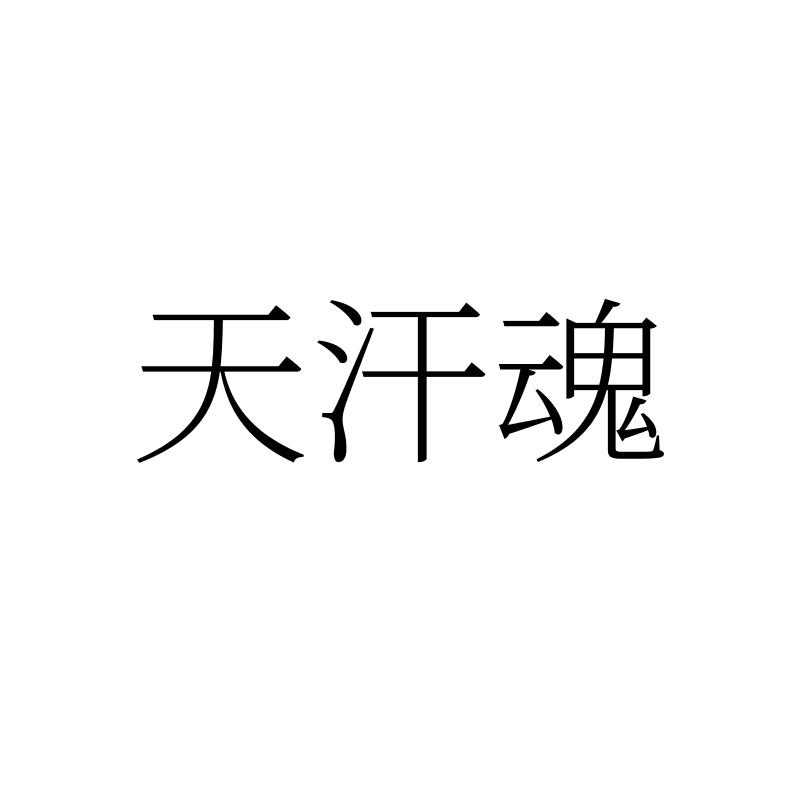 天汗魂