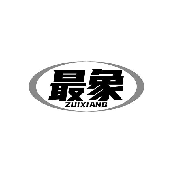 最象