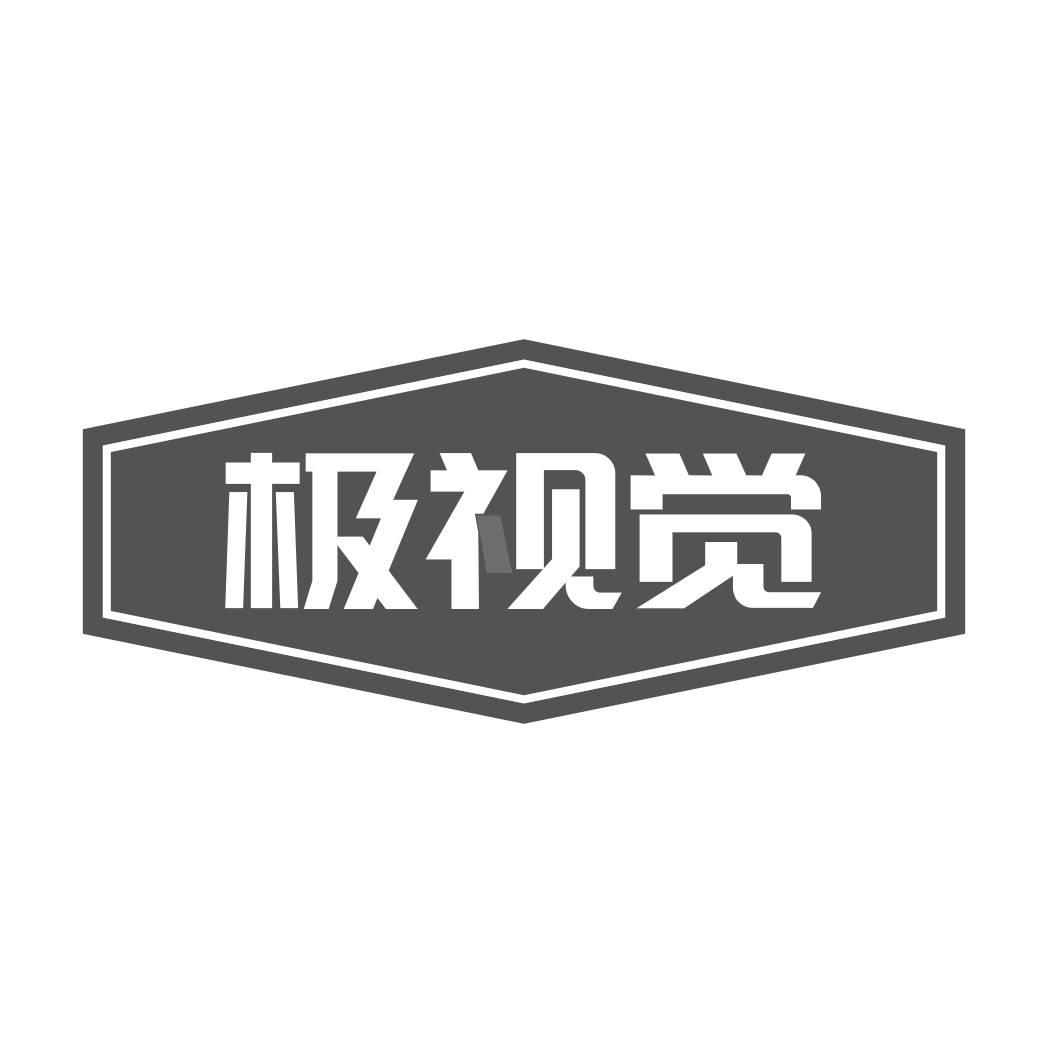 极视觉