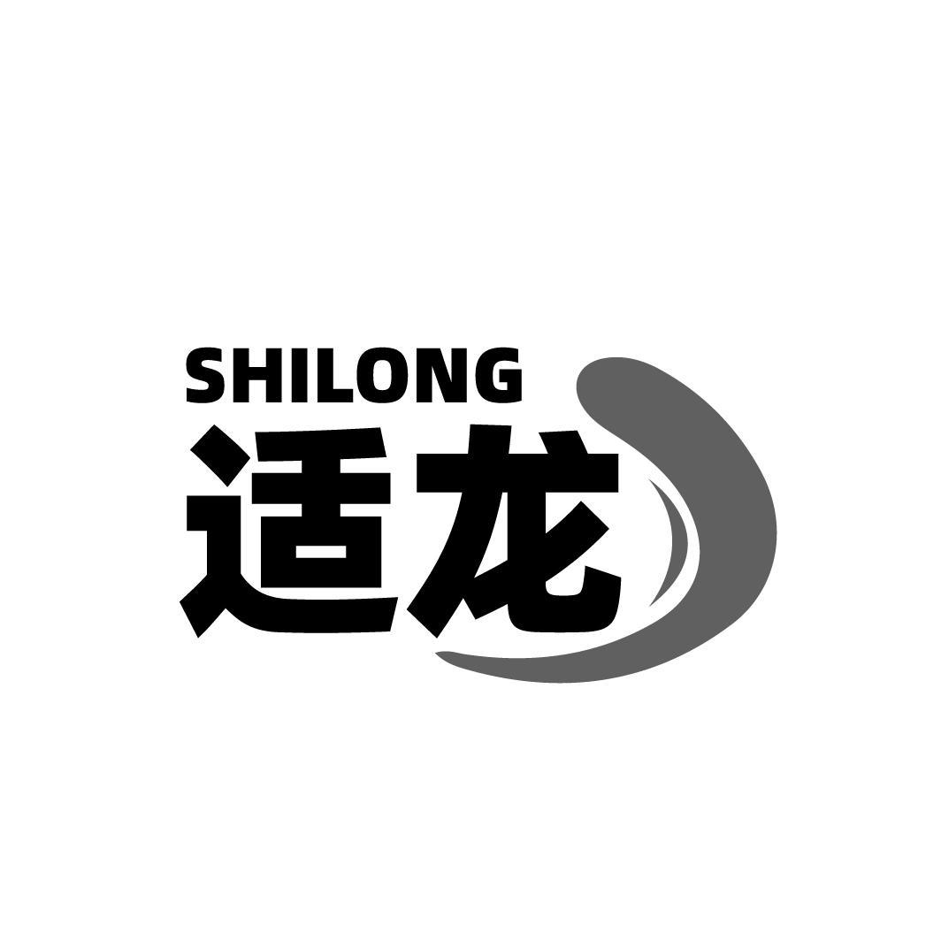 適龍