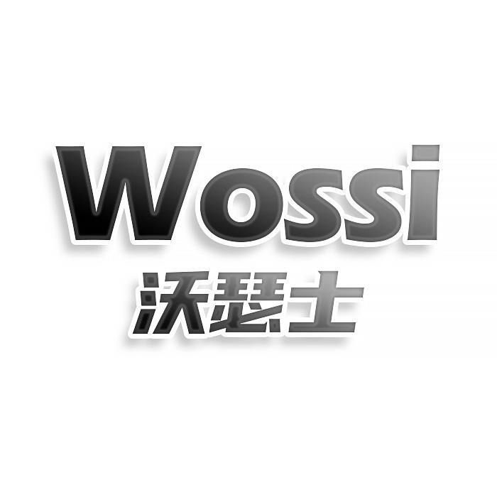 沃瑟士 WOSSI