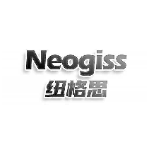 纽格思 NEOGISS