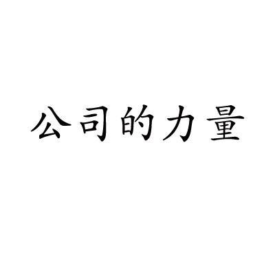 公司的力量