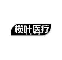 榄叶医疗 LANYE