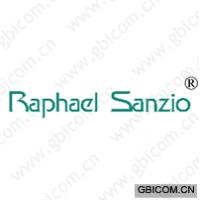 raphael sanzio