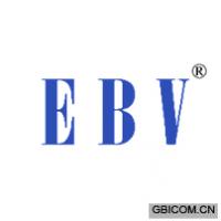 EBV