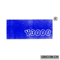 Y3000