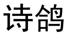 詩(shī)鴿