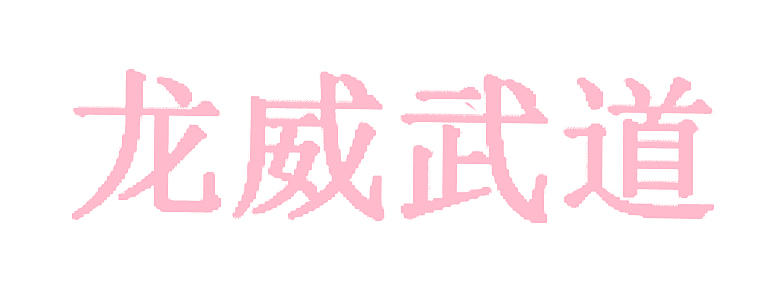 龙威武道