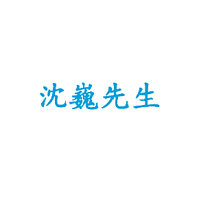 沈巍先生