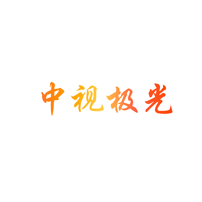 中视极光