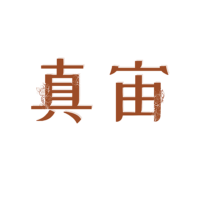 真宙
