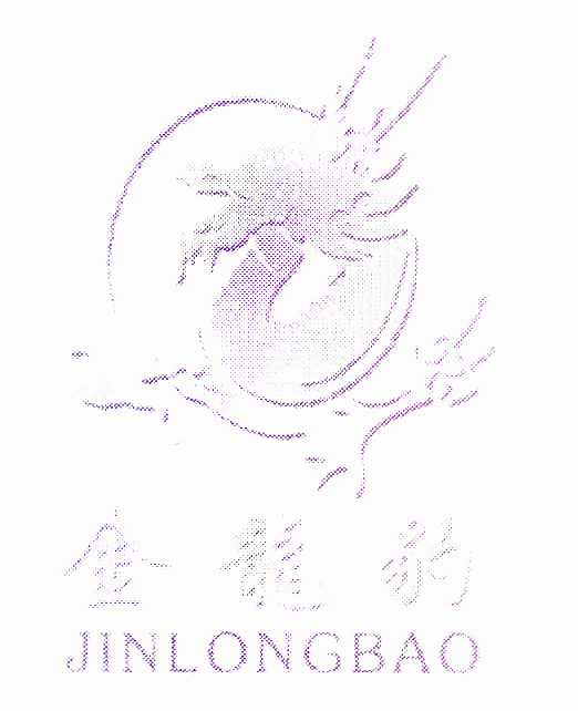 金龙豹