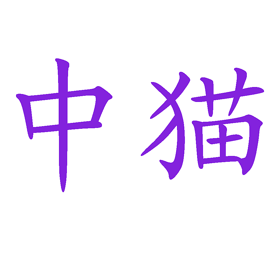 中猫
