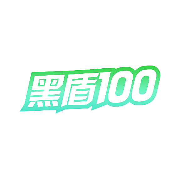 黑盾100