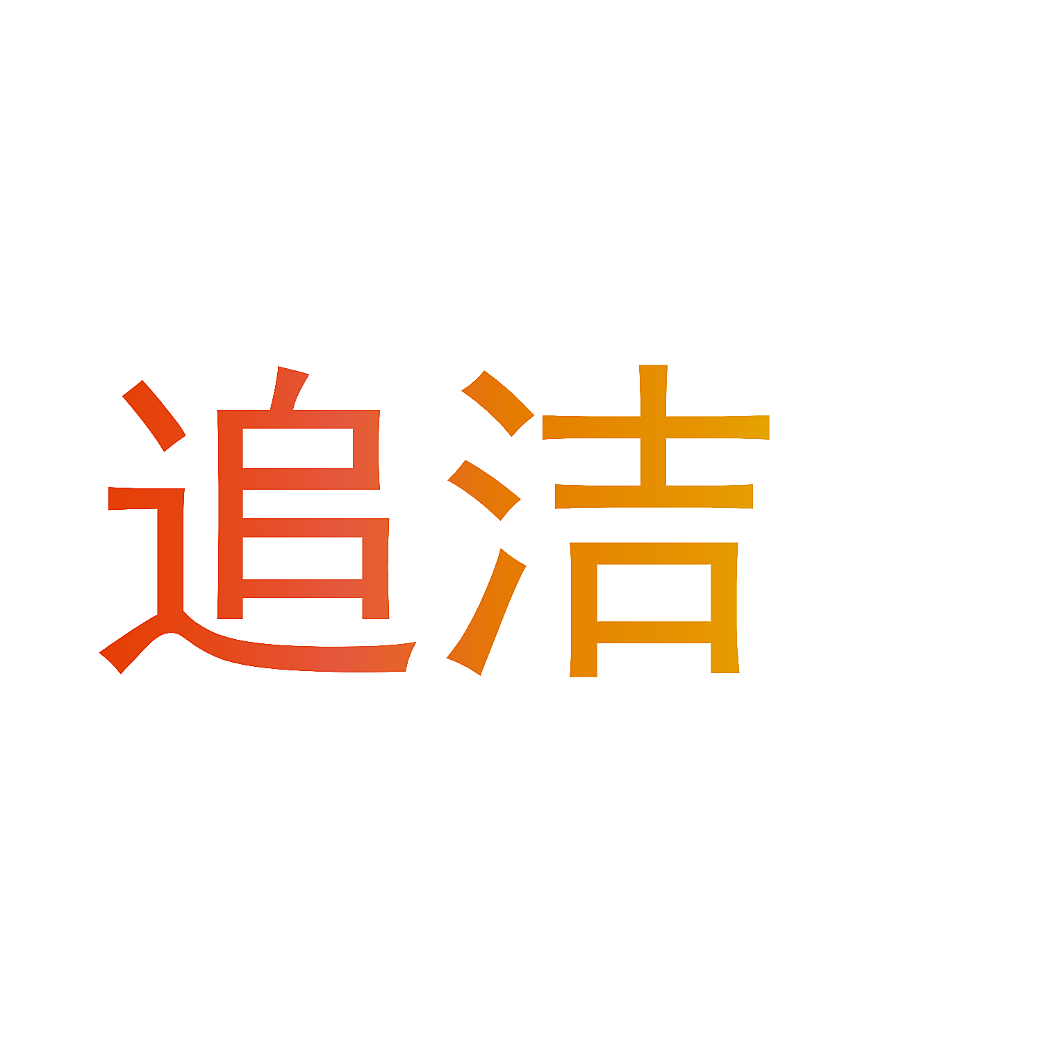 追洁