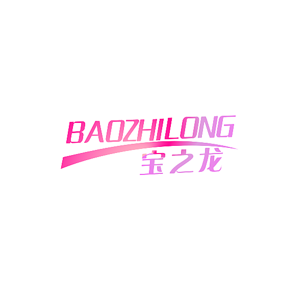 宝之龙