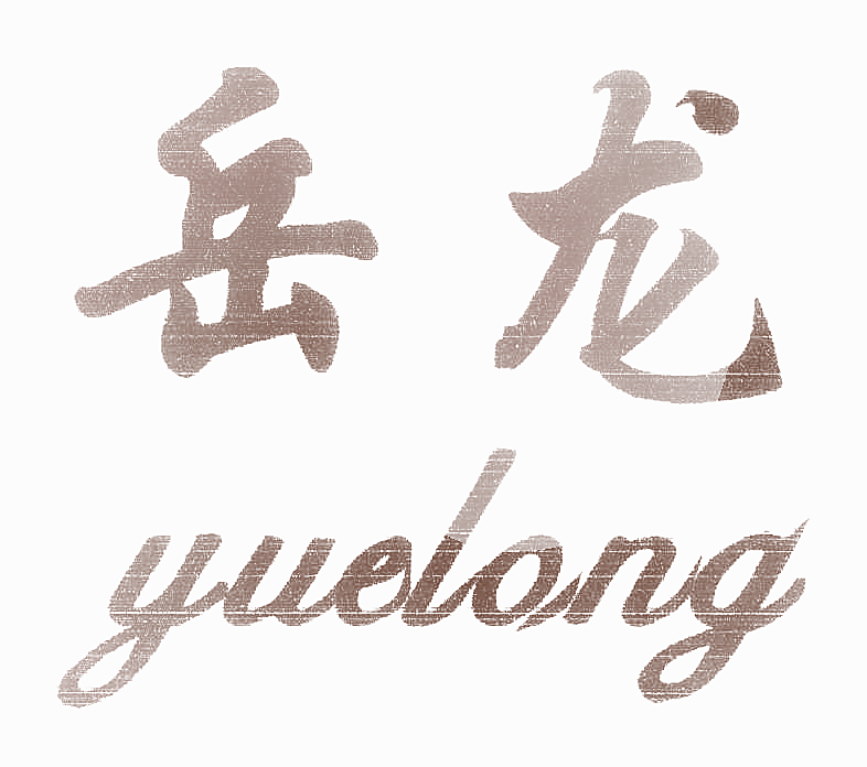 岳龙