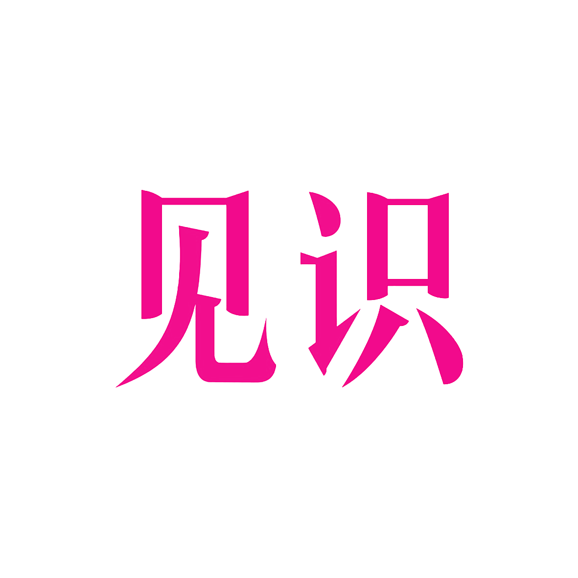 见识