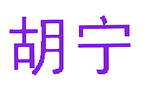 胡宁