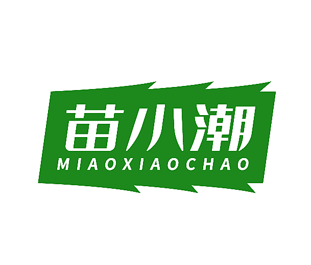 苗小潮