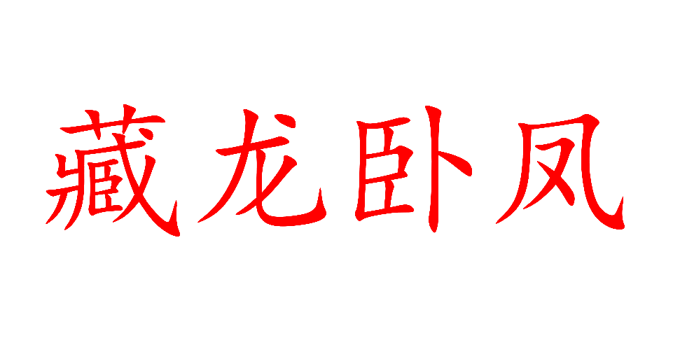 藏龙卧凤