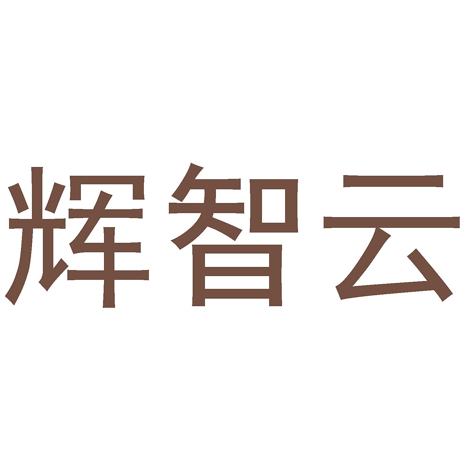 辉智云