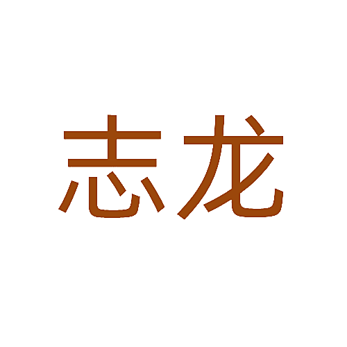 志龙