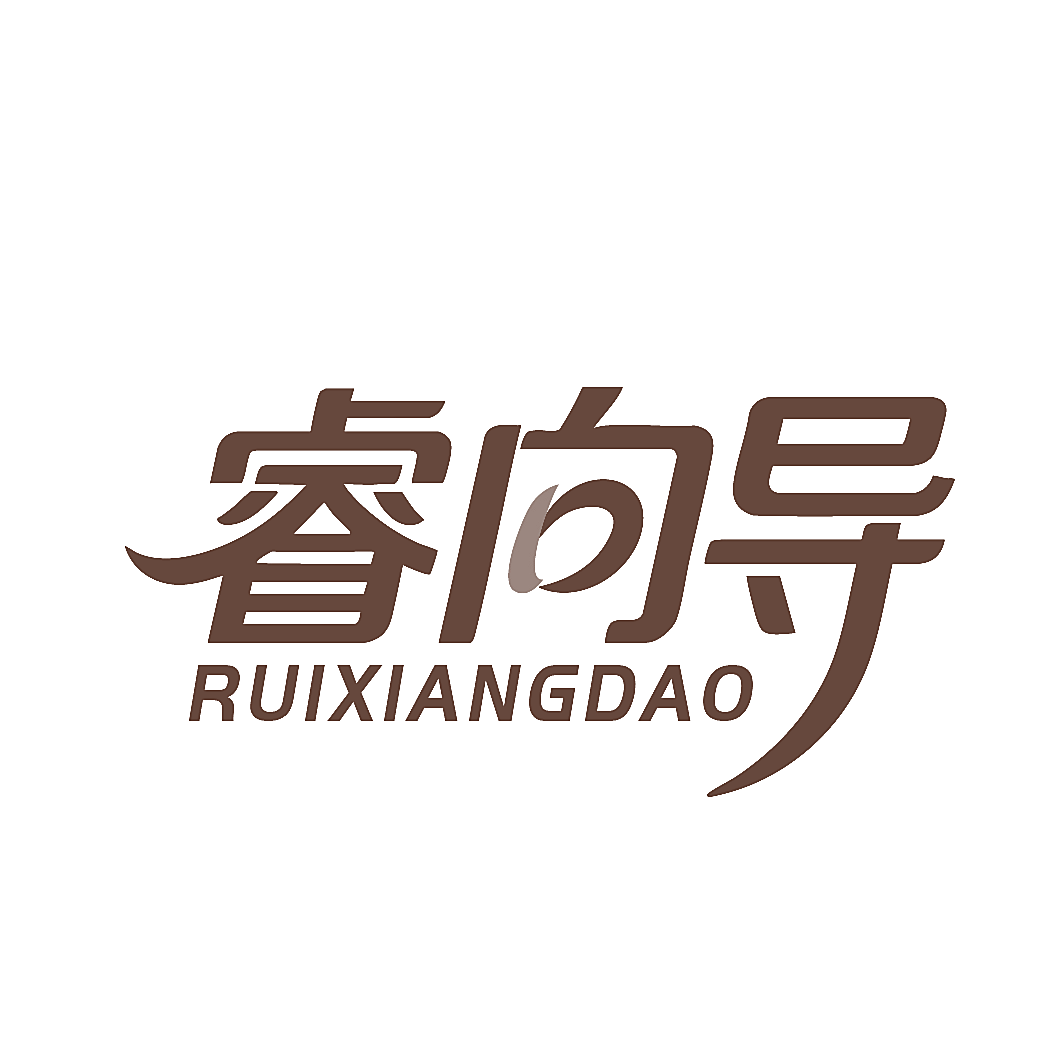 睿向导