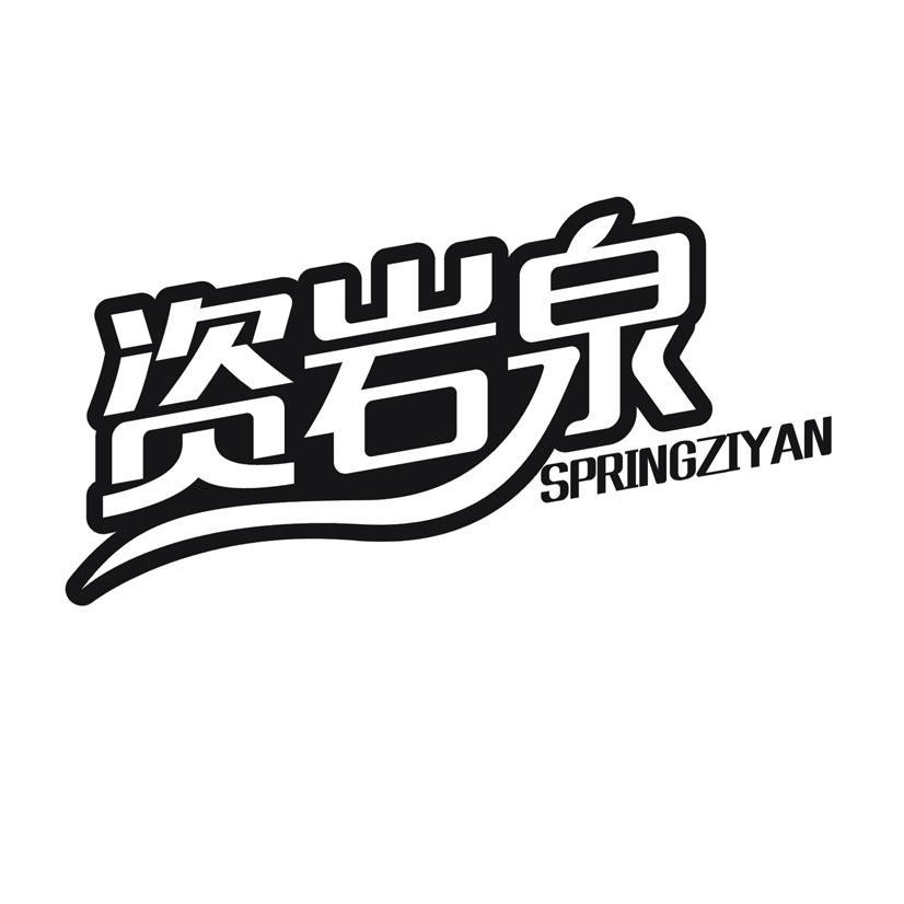 资岩泉 springziyan