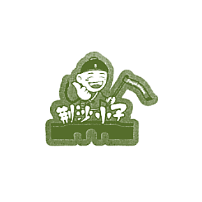 荆沙小子