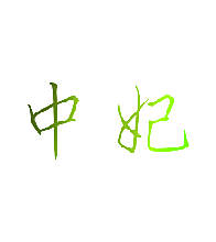 中妃