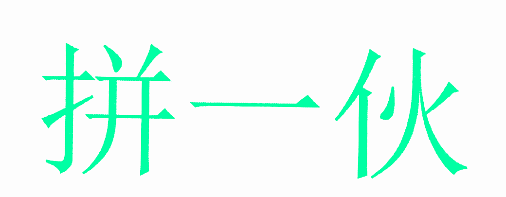 拼一伙